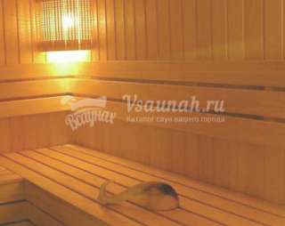 Сауна Баня Облепиха в Новоалтайске