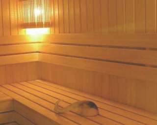 Сауна Баня Облепиха в Новоалтайске